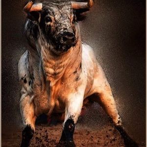 Meet your Posher, Carlos